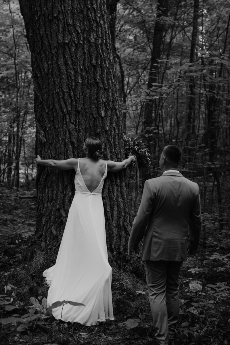 hike to old growth forest wedding
